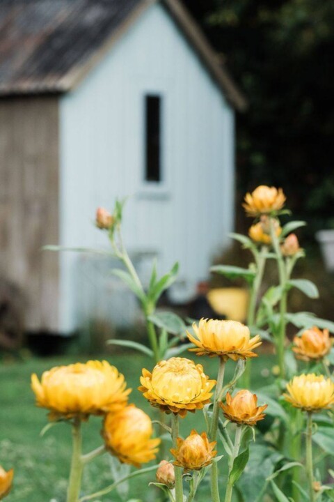 511007629_1270513847777799_7224214286594107610_n.j