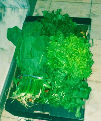 14480484_770465463093217_5765443529664546991_o.jpg 14480484_770465463093217_5765443529664546991_o.jpg