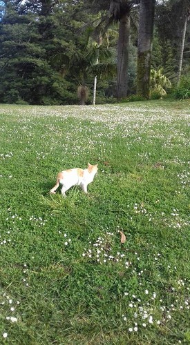 18557049_1309825169132785_4945445366195265235_n.jp