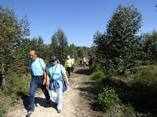 13112752_1133822906649361_4007196672805119668_o.jp