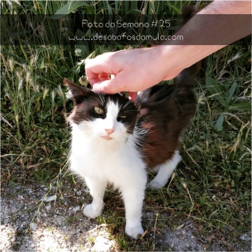 1529840745418.jpg 1529840745418.jpg