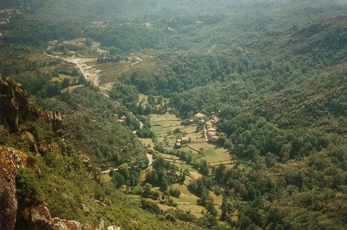 171 - castro-ribeiro.jpg