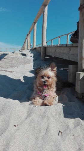 IMG_20170409_162700.jpg IMG_20170409_162700.jpg