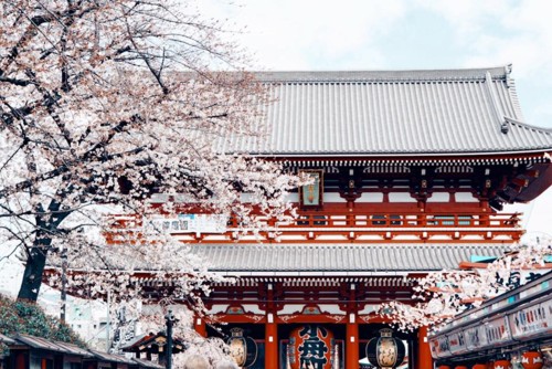 29542789_10216094704670458_8829780863802909786_n.j