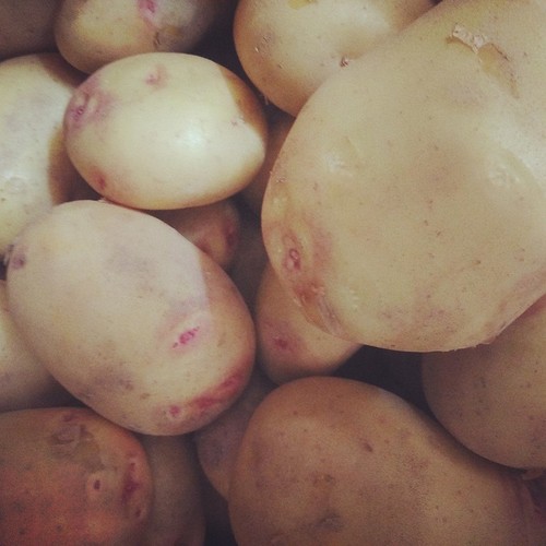 13173688_703915253081572_6244766896664805081_n.jpg 13173688_703915253081572_6244766896664805081_n.jpg