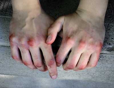 large (1).jpg large (1).jpg