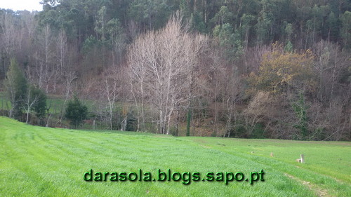 Burgo_07.jpg Burgo_07.jpg