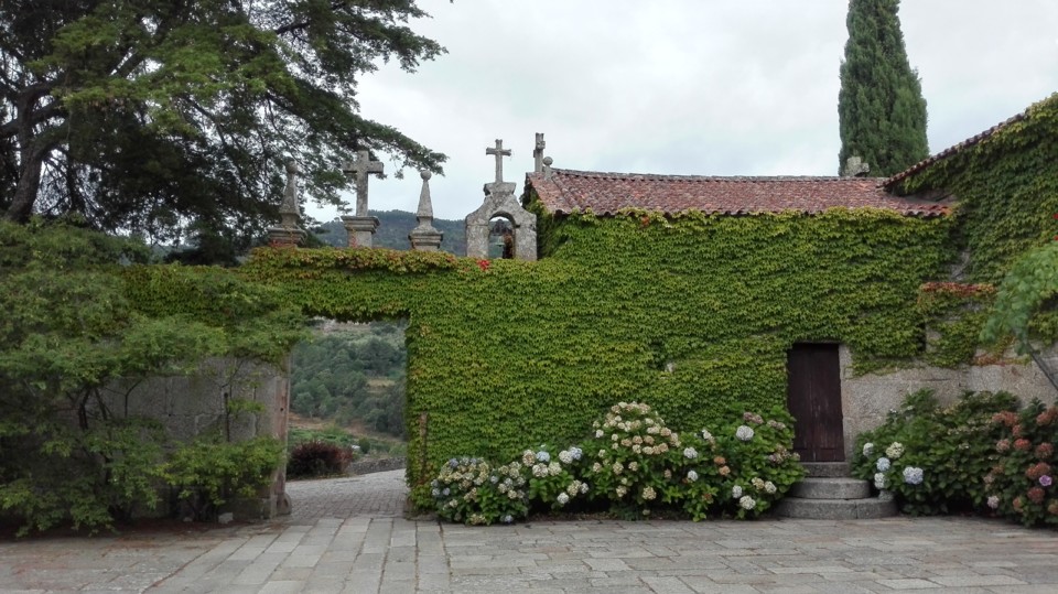 IMG_20170722_124156.jpg IMG_20170722_124156.jpg