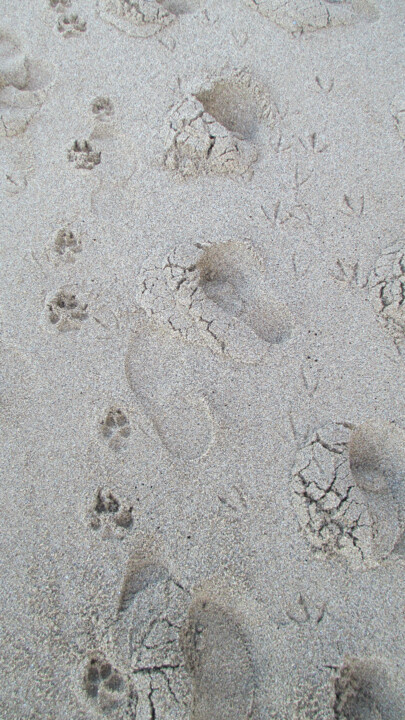 2020-08-09 09.43.25.jpg