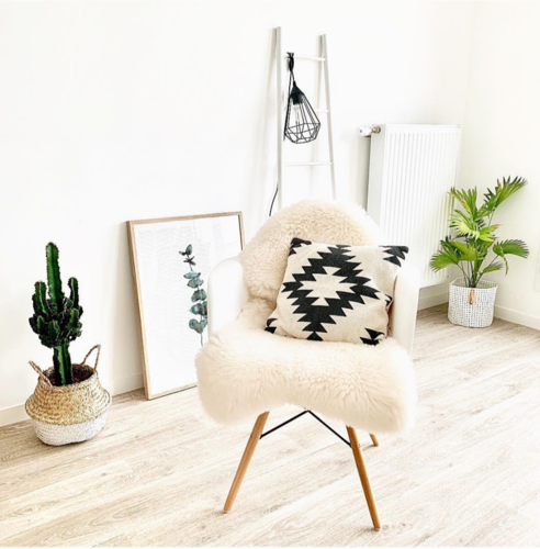 47117565_1970664583049588_5295265398281732096_n.pn 47117565_1970664583049588_5295265398281732096_n.pn