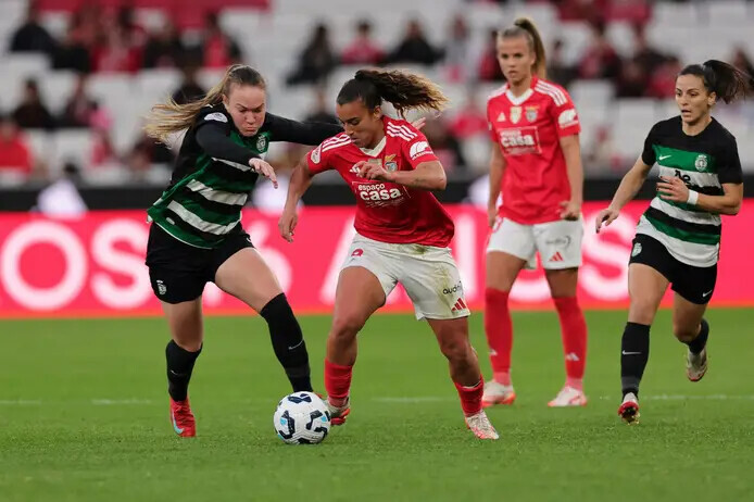 Foto António Cotrim.webp