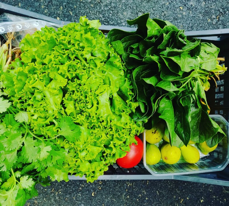 534627278_18494553865066958_1692837365803733825_n.