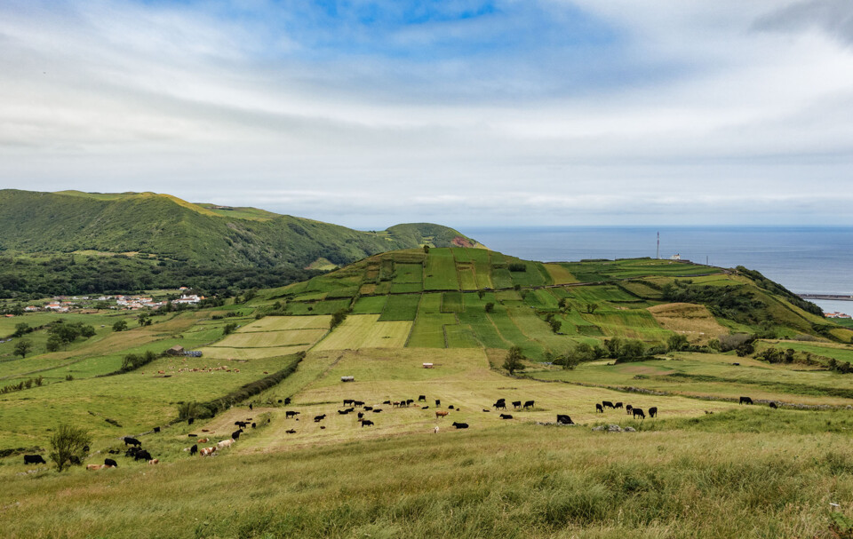 Ilha Graciosa Açores.jpg