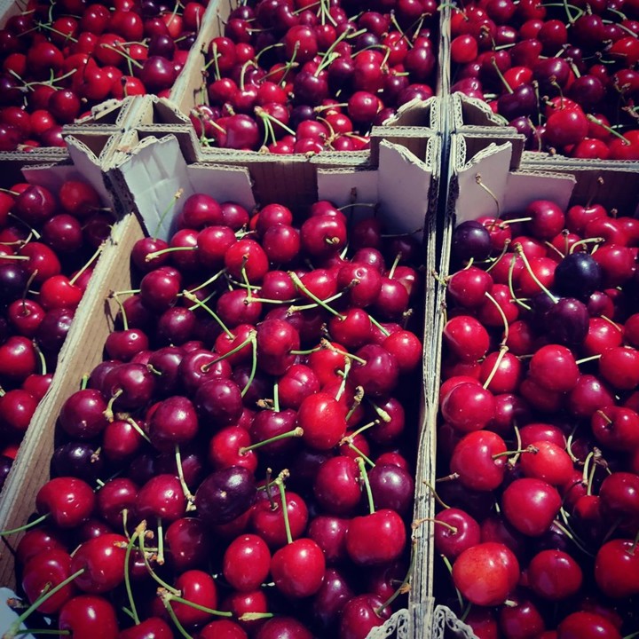 102814778_1718850681588019_4076863672683593728_o.j