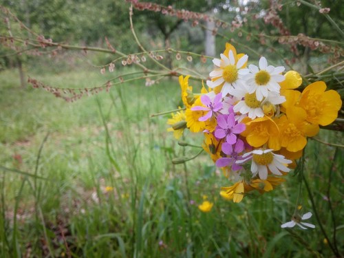 18278622_1318688904883424_4392986971970277418_o.jp 18278622_1318688904883424_4392986971970277418_o.jp