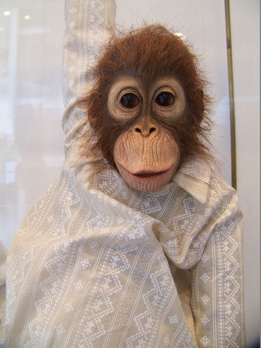 Cópia de 100_6271.JPG