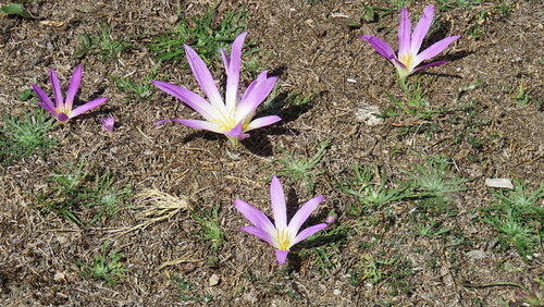 2017-09-15 15-04-38_0120.jpg