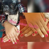 13165906_1204146329604800_3790329345781674051_n.jp 13165906_1204146329604800_3790329345781674051_n.jp