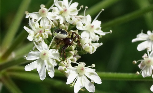 DSC03483.jpg DSC03483.jpg