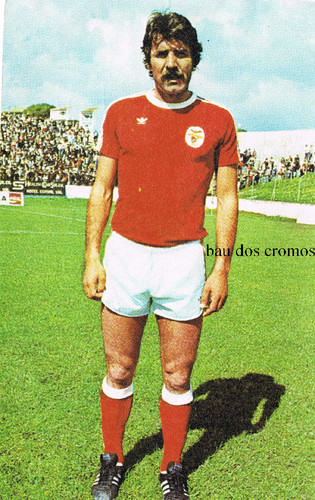 toni-1979-80.jpg toni-1979-80.jpg