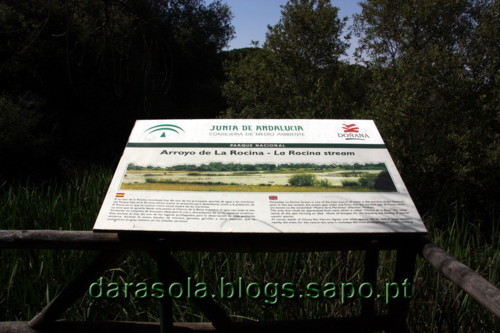 Donana_B_14.JPG Donana_B_14.JPG