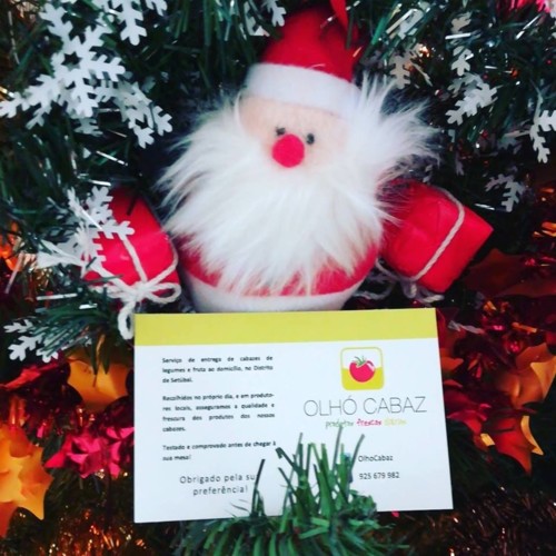 48371882_1265891366883955_2794501238278848512_n.jp