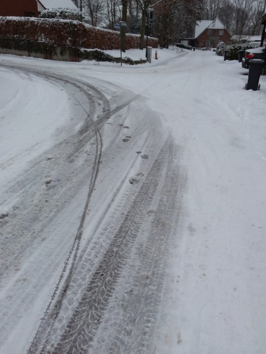 2021-02-09 Neve (7).jpg 2021-02-09 Neve (7).jpg