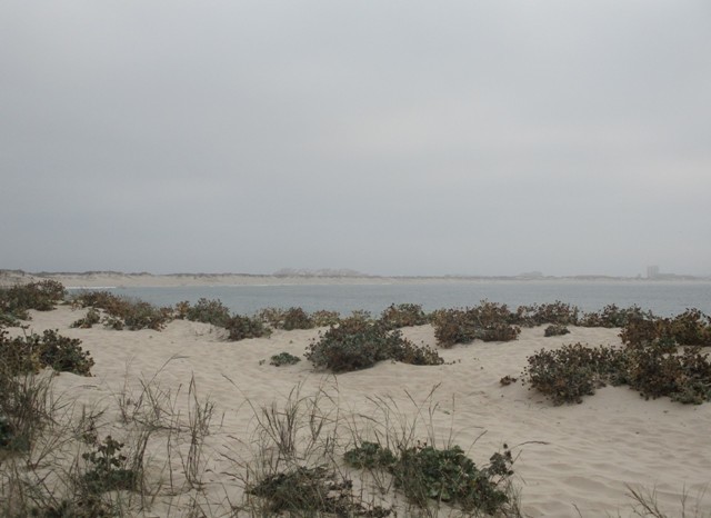 240427276_1862349340613848_8382469299196039840_n.j