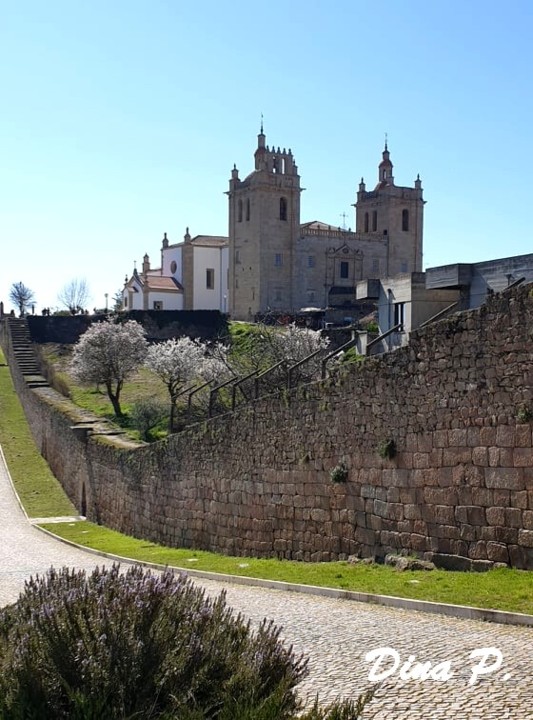 87556485_2485031395096766_7534297558391193600_n.jp