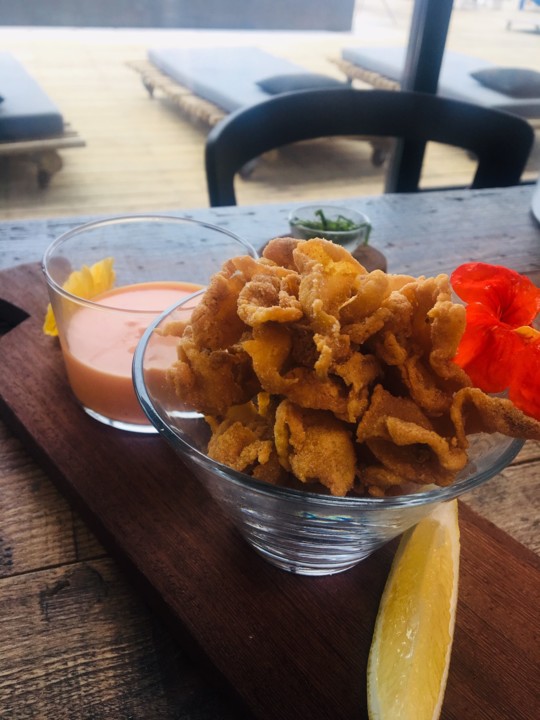 IMG_6512.jpg IMG_6512.jpg