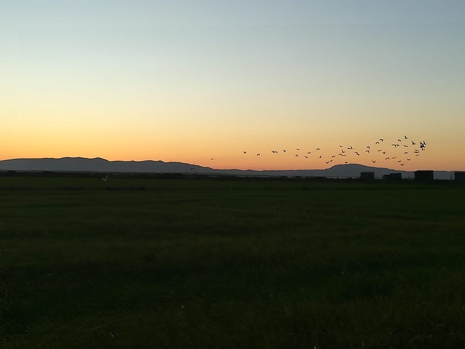 70395531_10156741780313565_7906008775788593152_n.j