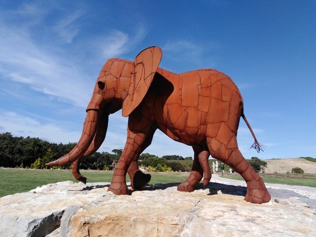 117039285_3104352223013395_8562829026051881409_o.j