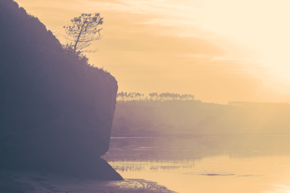 lagoa de obidos 4.jpg