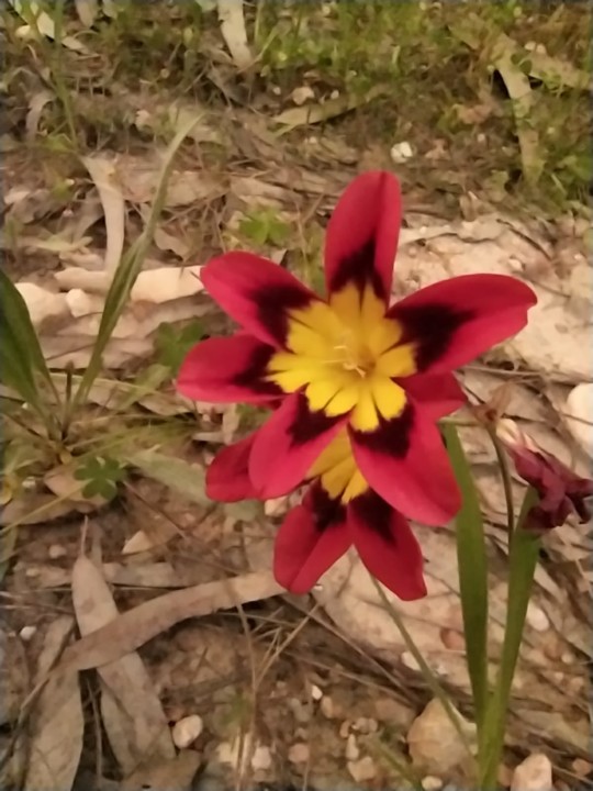 167579944_4320840607945129_3677438422129909897_n.j