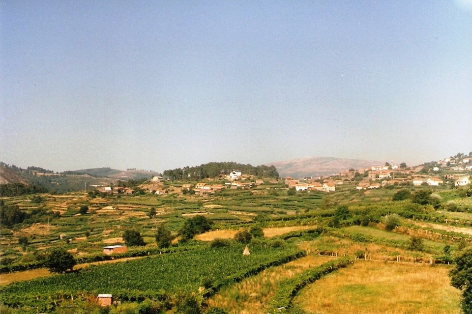 54 b2 - terras de paderne.jpg