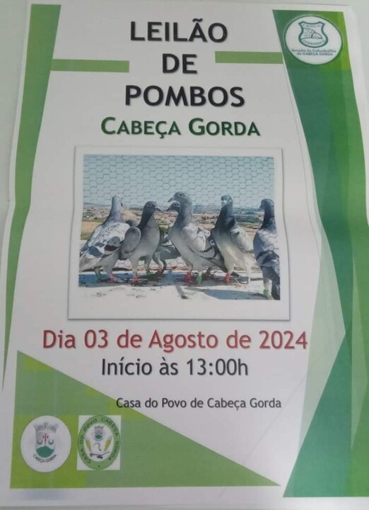 2 - Cabeça Gorda.jpg