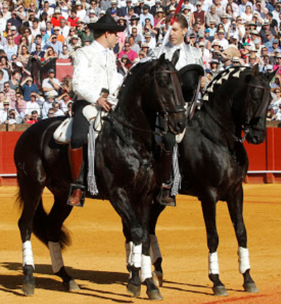 Alternativa de G. Mendoza - 5.05.2019.png