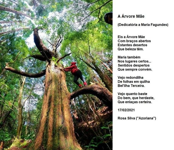 a árvore mãe
