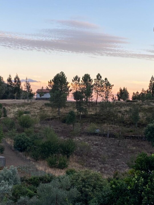 WhatsApp Image 2023-03-01 at 20.20.36 (5).jpeg