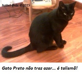 Gato preto.jpg Gato preto.jpg