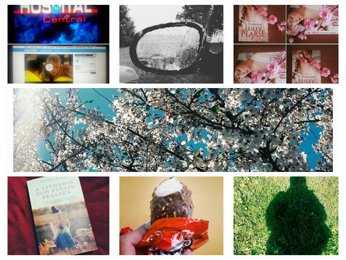 semana dezasseis.jpg