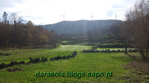 Burgo_11.jpg Burgo_11.jpg