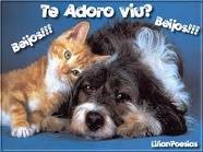 beijos animais.jpg