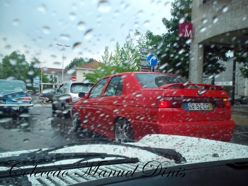 DSC_8557.jpg