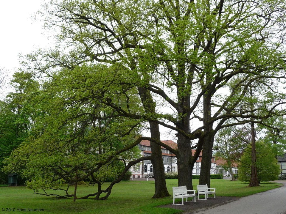 2010-05-13 Bad Driburg 020.JPG