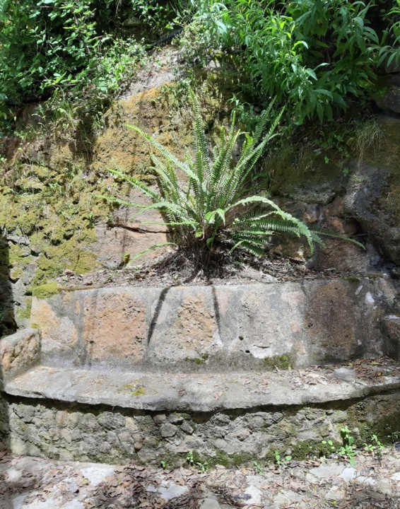 20210514_085008.jpg 20210514_085008.jpg