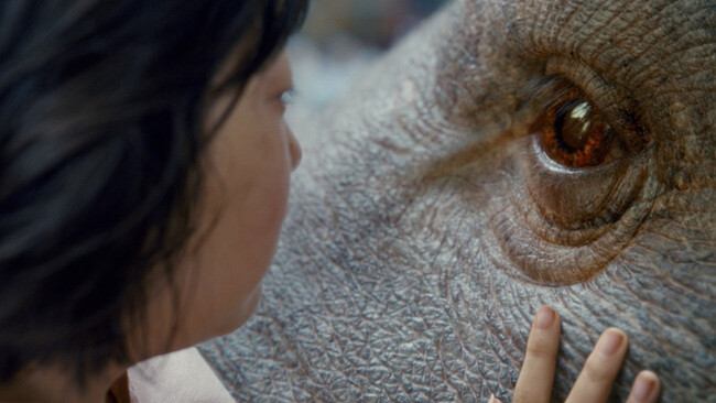 okja05192017_medium.jpg
