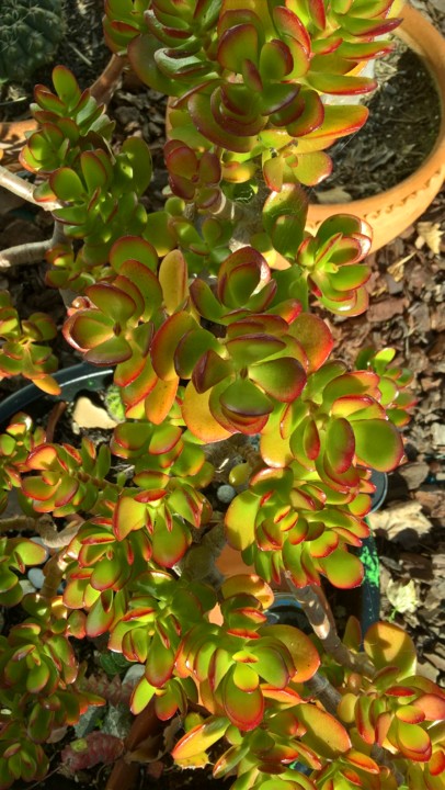 WP_20191205_11_44_06_Pro.jpg WP_20191205_11_44_06_Pro.jpg