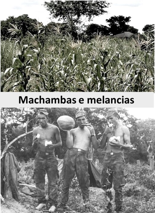 .....machambas3.jpg