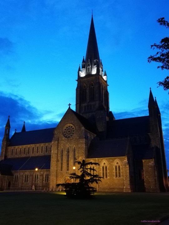 IMG_20190730_220507.jpg IMG_20190730_220507.jpg